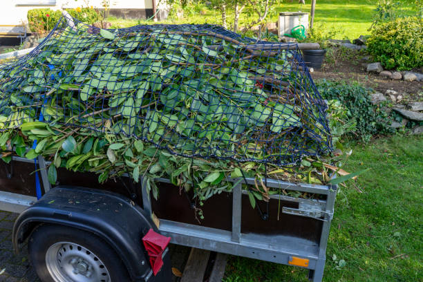 Best Scrap Metal Removal  in Inver Grove Heights, MN